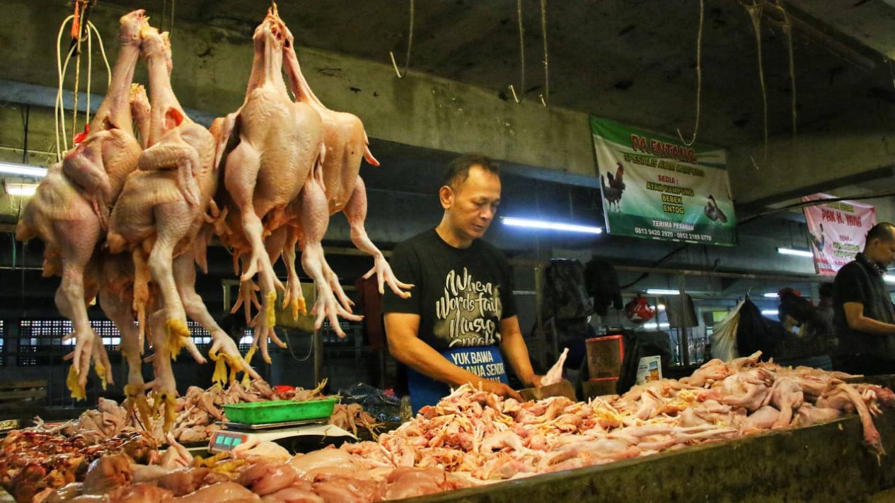 Chicken Meat and Garlic Prices Rise as Shallots Fall, Check the Full List
