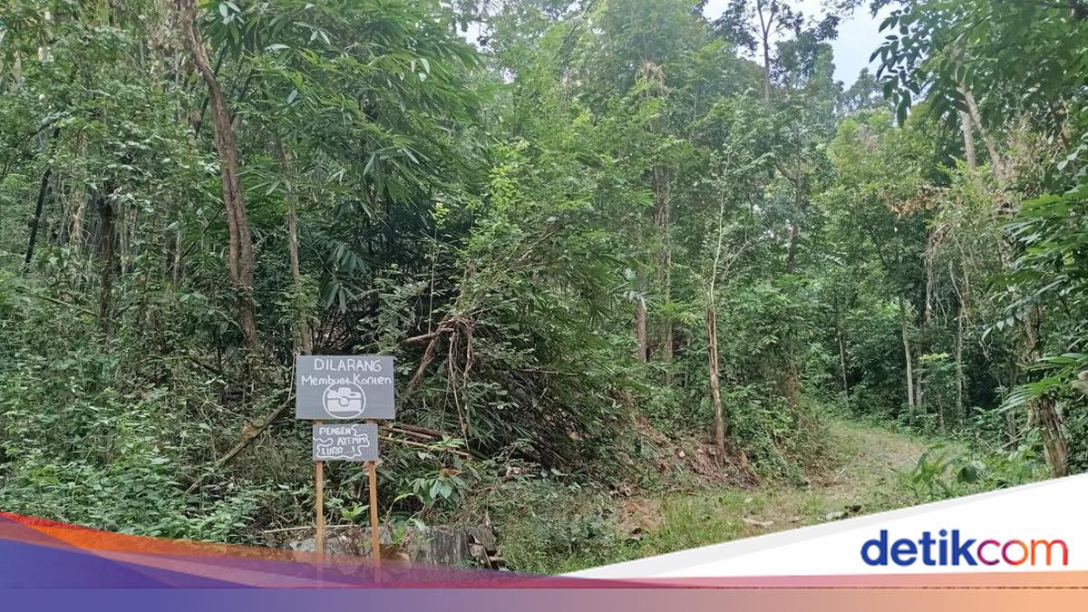 Tracing the 'Dead Village' in Prambanan, Sleman, Reclaimed by Forest After the 2006 Earthquake
