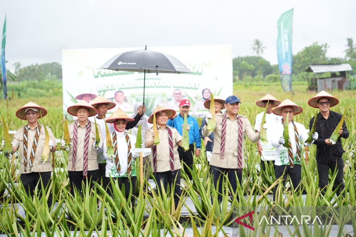 Agriculture Ministry pushes for downstream aloe vera industry in Pontianak