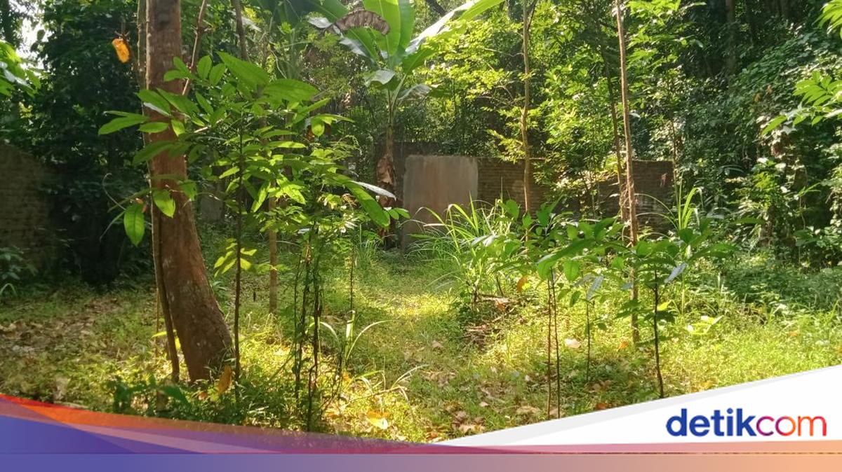 Sleman's 'Ghost Village' Becomes Content Creator Hotspot, Residents Put Up Warning Signs