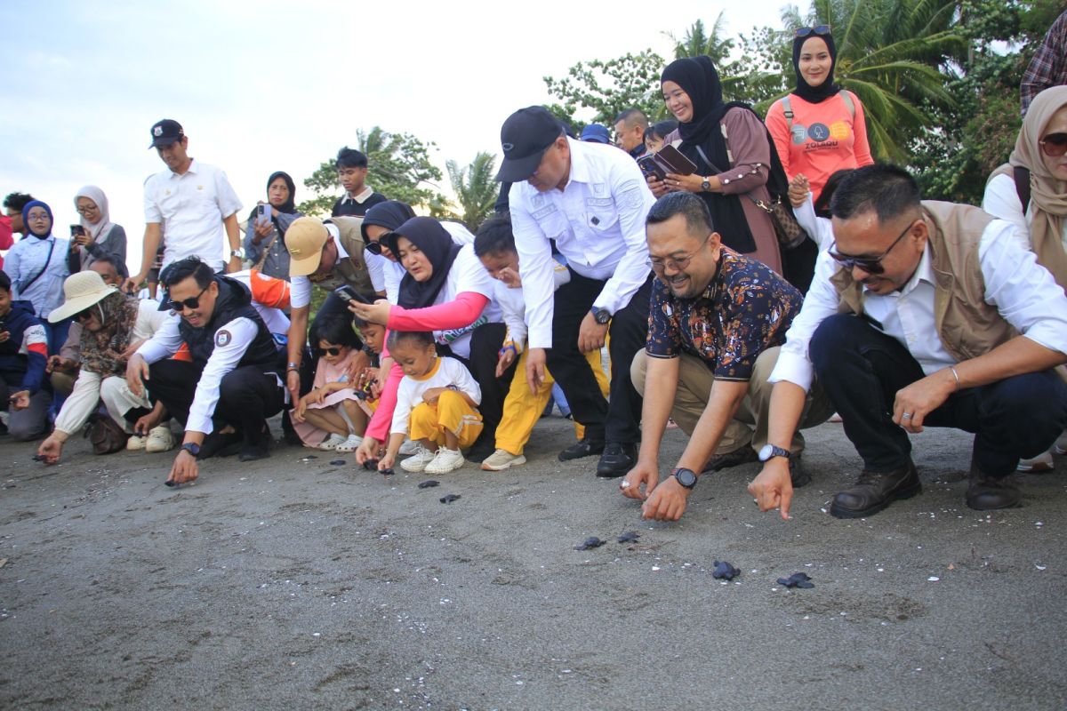 Mampie Turtle Festival promotes sustainable tourism destinations