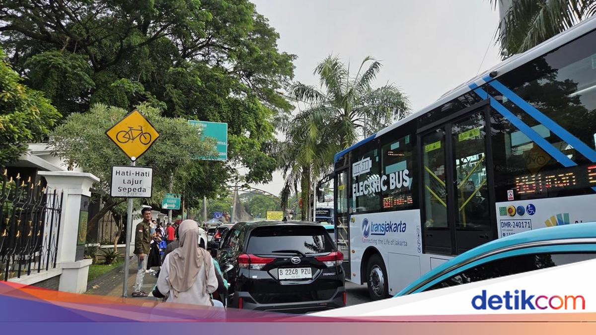 Traffic Queues to Ragunan Zoo Stretch 1.5 km Amid Free Entry Scheme