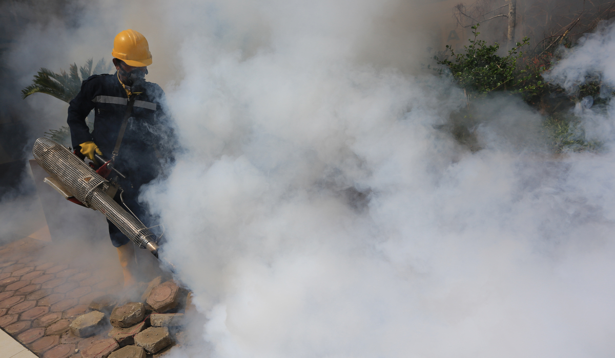 Dengue Fever Cases Surge in Tasikmalaya, 225 Infected and Three Dead