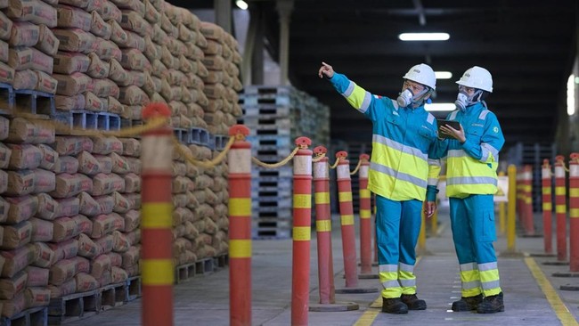 Navigating Overcapacity: SIG's Transformation Strategy to Tackle Business Challenges