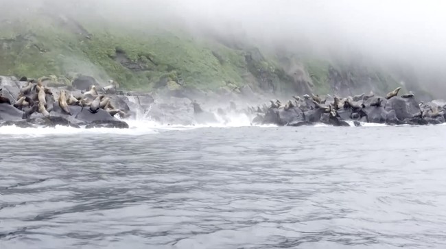 NASA Satellite Reveals Unexpected Complexity in Pacific Megatsunami