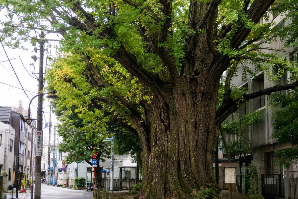 Japan Trials AI System to Detect Trees at Risk of Falling