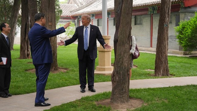 Chinese Investors Flee US as Clean Energy Assets Are Effectively Nationalised