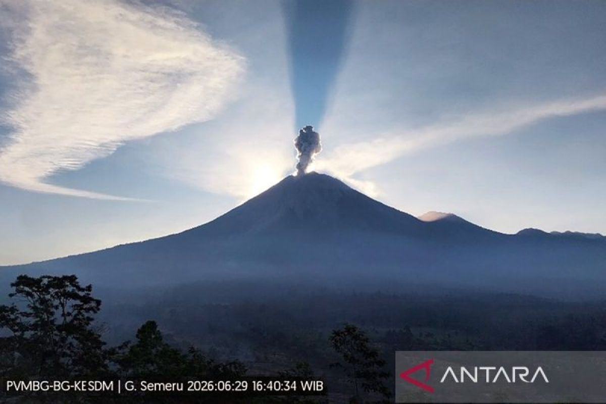 Mount Semeru erupts, sending ash column 1.2 km high accompanied by moderate rumbling