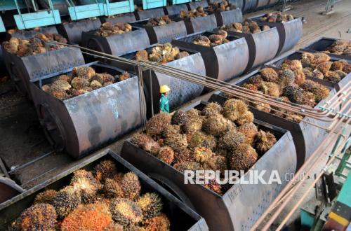 Indonesia Lacks Uniform CPO Price Benchmark, Says GAPKI