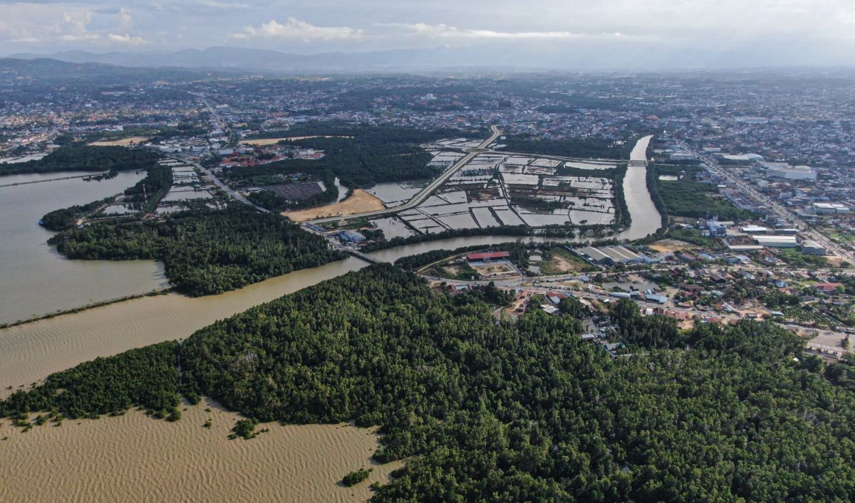 Carbon Trading Opens New Opportunities, Private Placement Raises Nearly Rp30 Billion