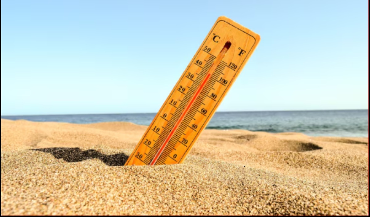 Thousands of Deaths in Europe During Heatwave: What Can Nations Do?