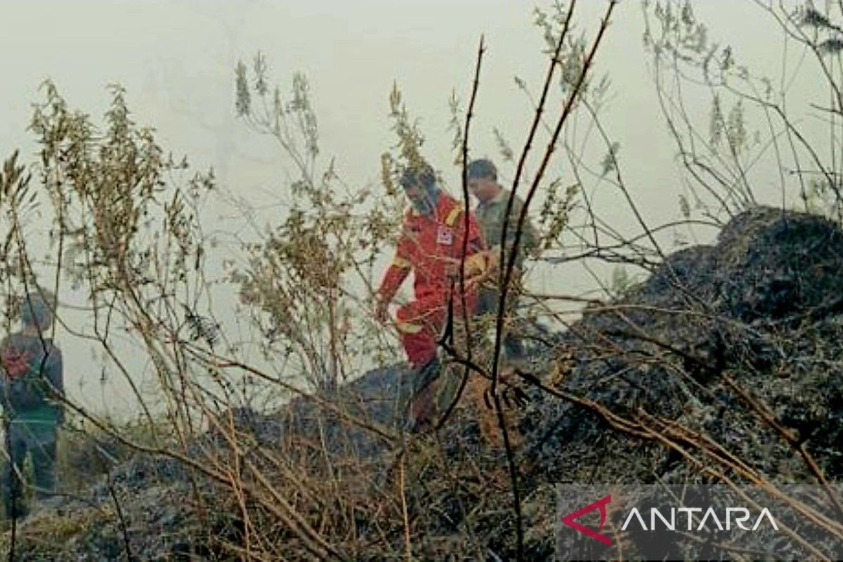 Ministry of Forestry and joint team extinguish Sembalun forest fire