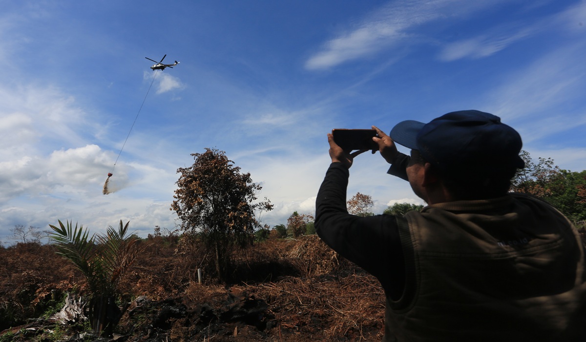 BNPB Confirms No Fatalities in Forest and Land Fires Across Aceh, West Java, and Central Java