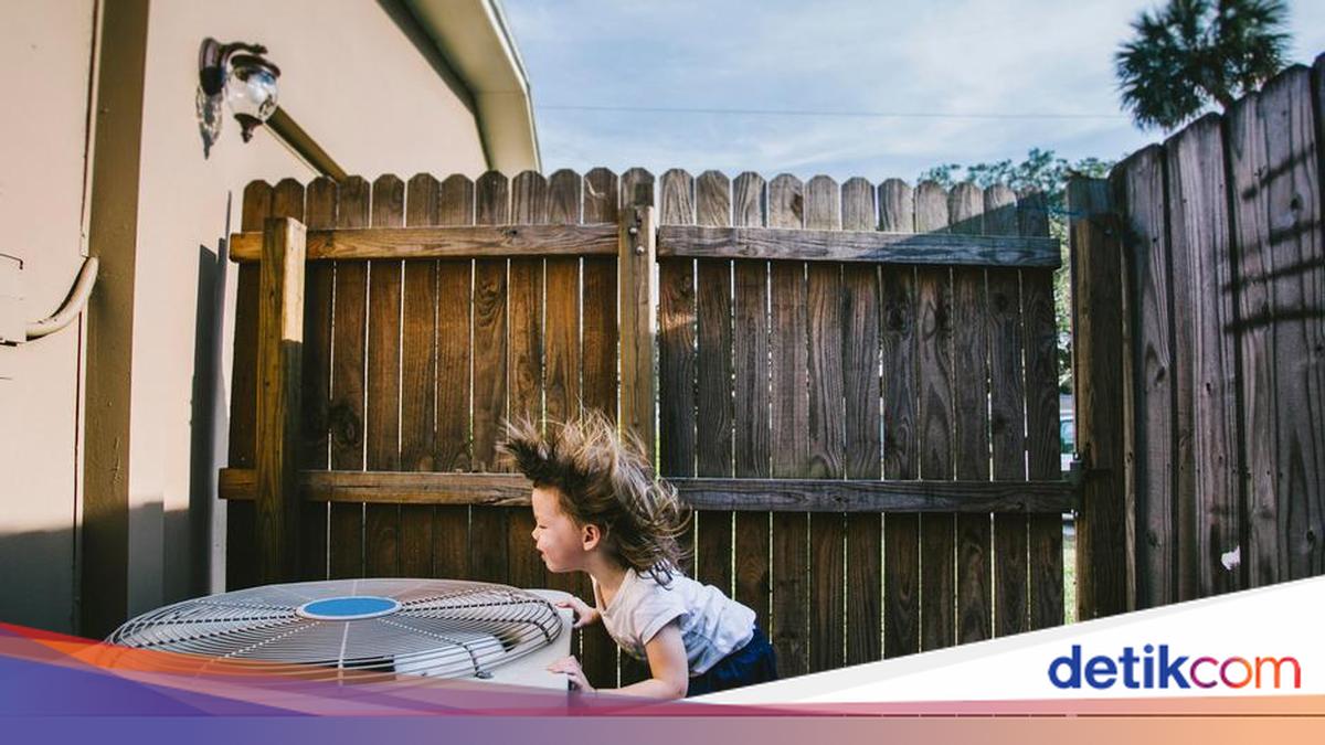 Heatwaves Hit Germany, But Why Do People Still Refuse Air Conditioning?
