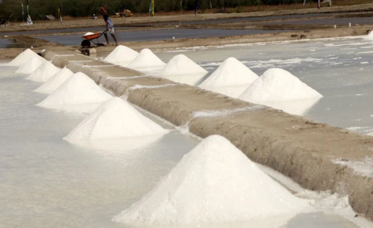 Salt Self-Sufficiency Target Demands Overhaul of Import Governance