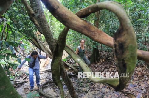 Healing Forest: A Natural Way to Relieve Stress Through Forest Therapy