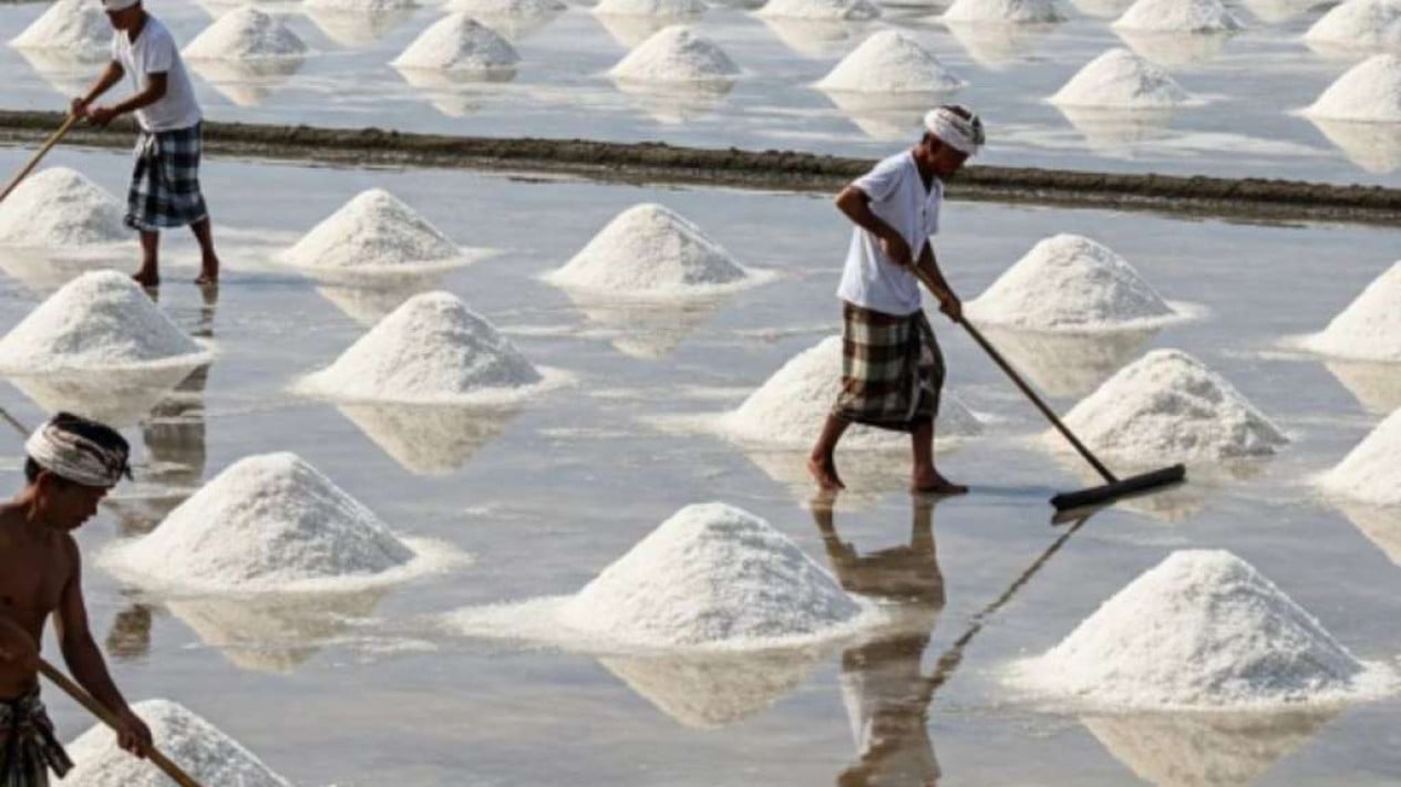 Pursuing Self-Sufficiency by 2027, Indef: Government Must Reform Salt Import Governance