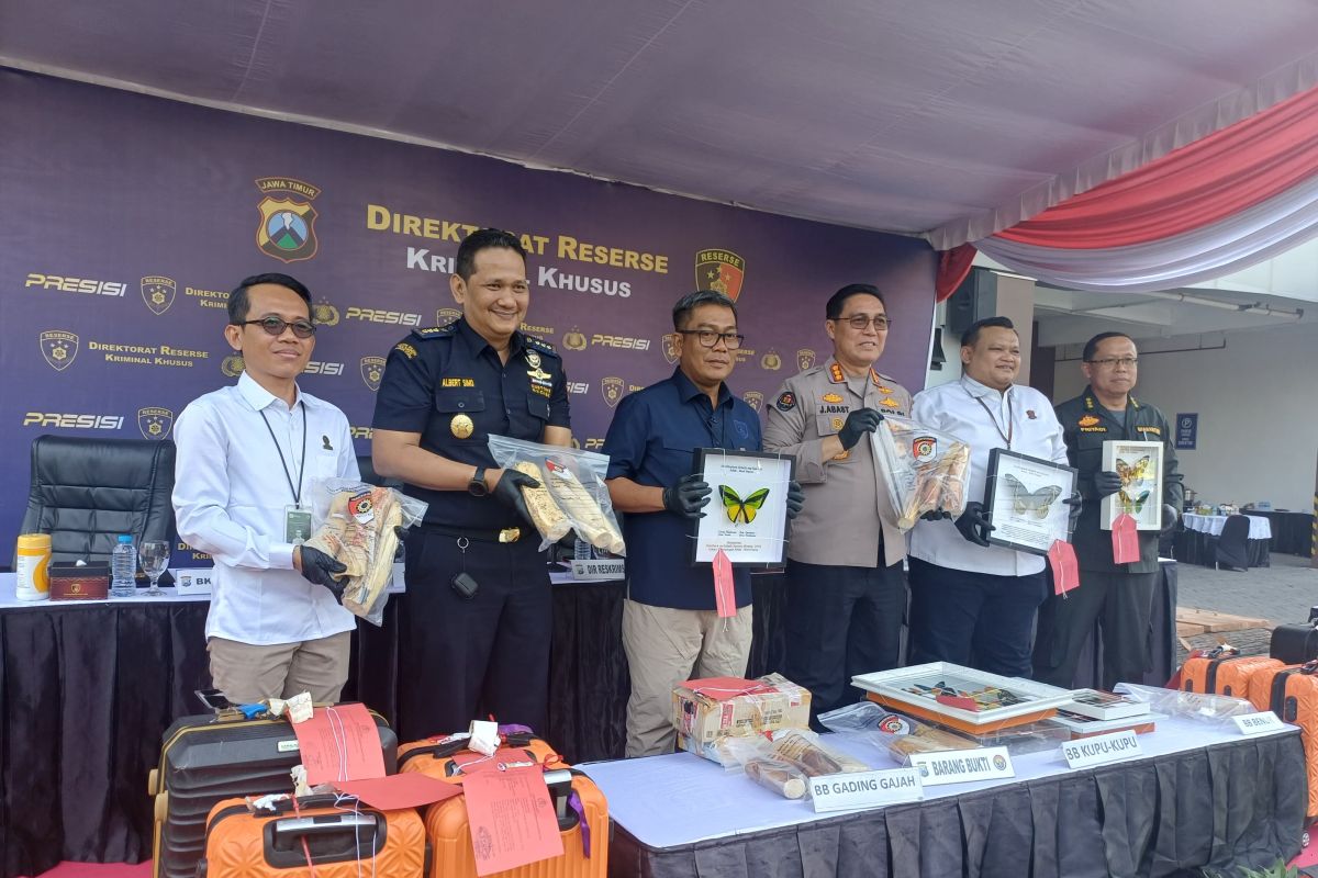 East Java Police Foil Smuggling of Protected Wildlife Abroad