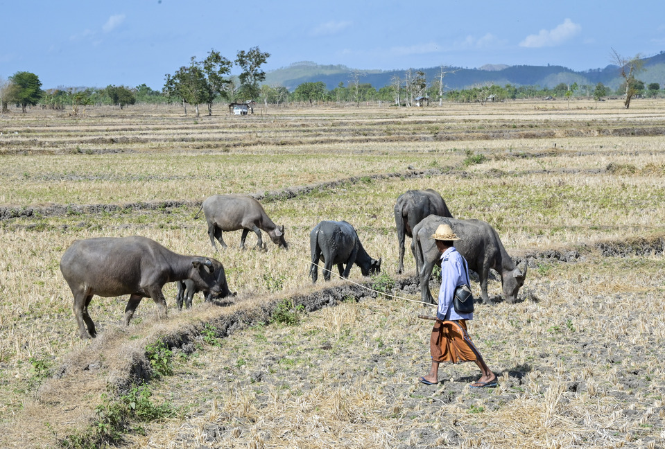 Facing El Nino, West Sulawesi Maintains Irrigation and Strengthens Floodgates