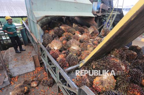 Belarus Eyes Indonesian CPO and Cocoa, Minister Readies Trade Cooperation
