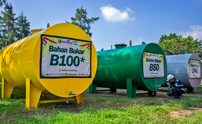 B50 Mandate Takes Effect Tomorrow, Government Urged to Recalculate Risks