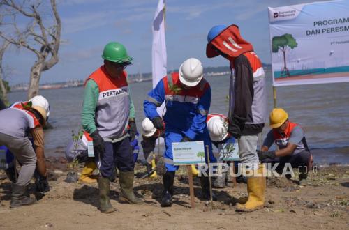PPL Rehabilitates Mangroves to Restore Coastal Ecosystem
