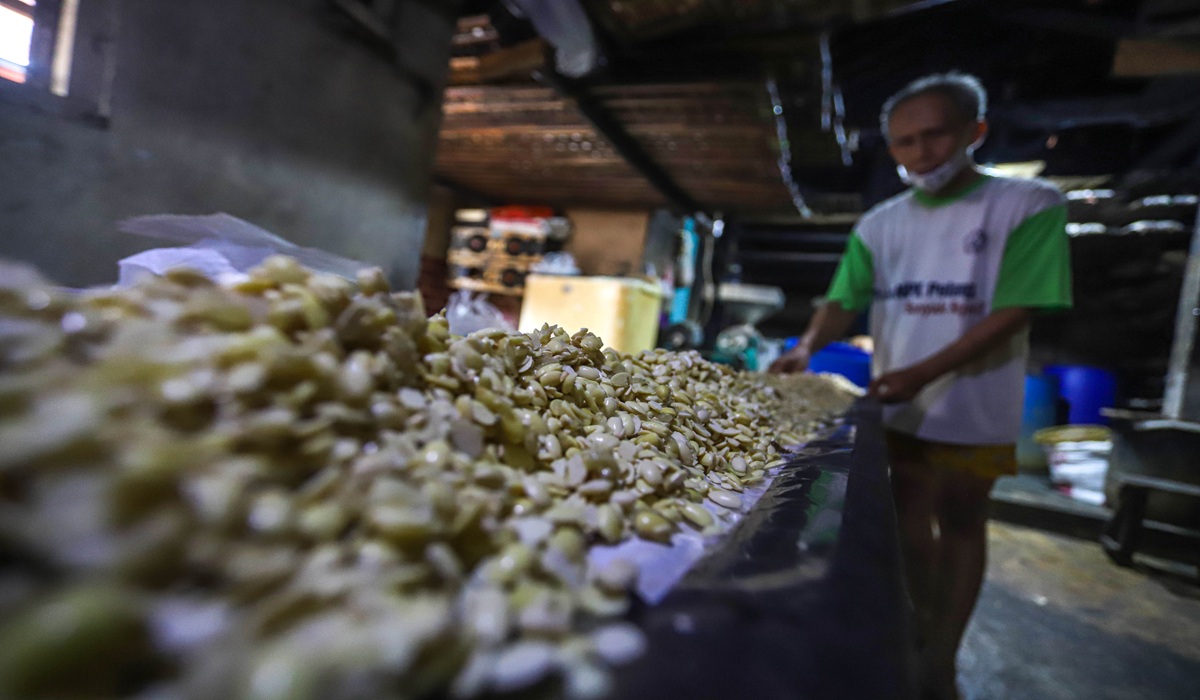 Impact of Rising Imported Soybean Prices on Tempeh and Tofu MSMEs