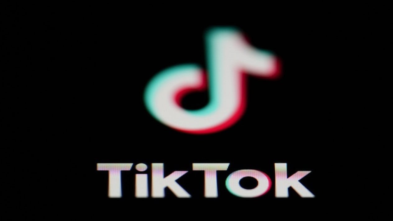 Ministry Reveals 4.1 Million Children's TikTok Accounts Have Been Closed