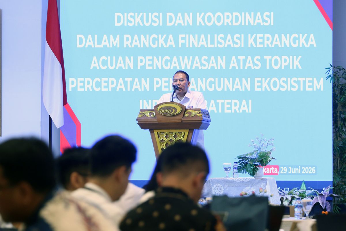 BPKP to Map Development Process of Battery Industry Ecosystem