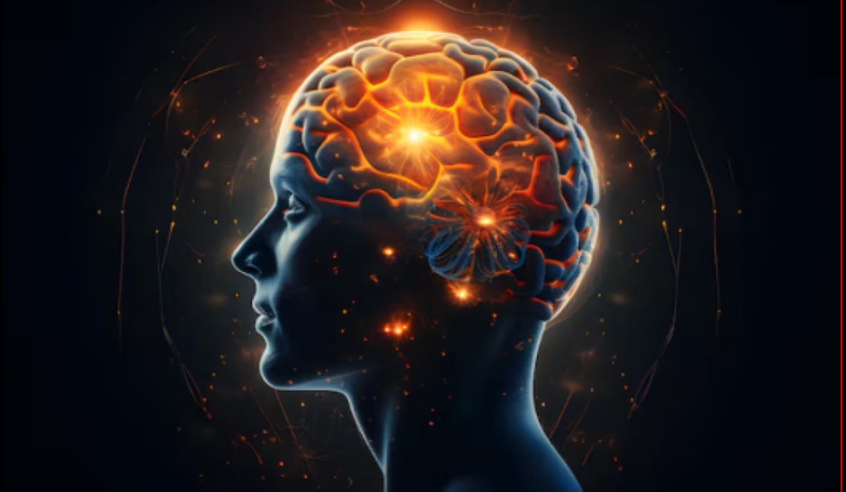 Certain Proteins May Harm the Brain but Could Help Form Memories