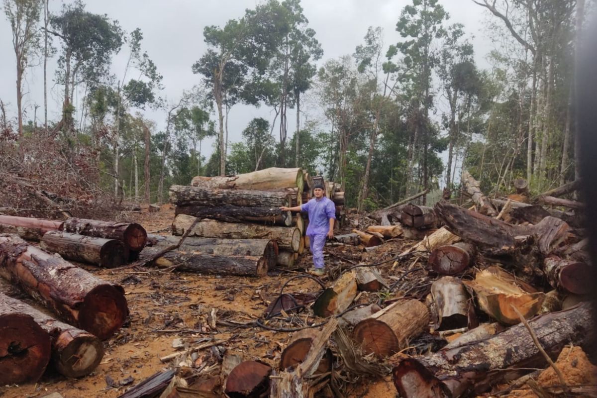 Environment Minister Warns Business Owners: Don't Be Greedy and Destroy the Environment