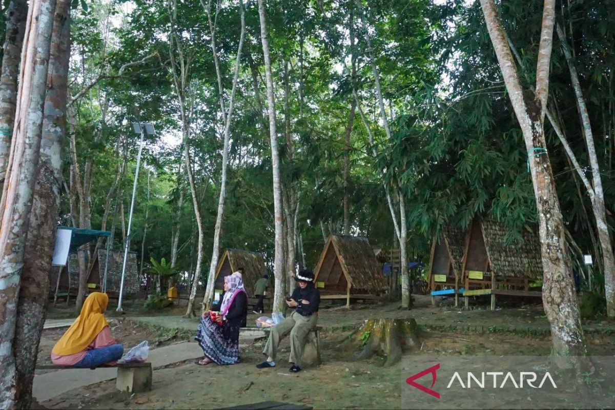 Forestry governance transformation must be inclusive and sustainable