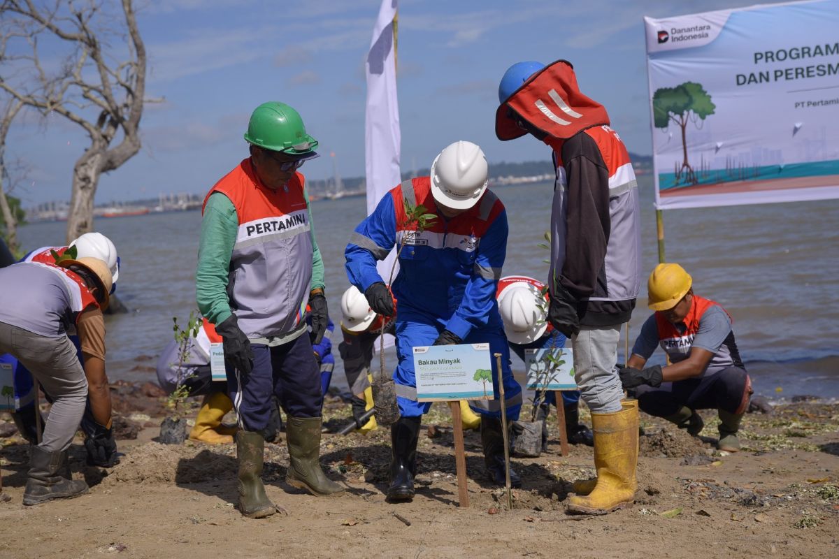 600 Mangroves Rehabilitated to Strengthen Coastal Ecosystem