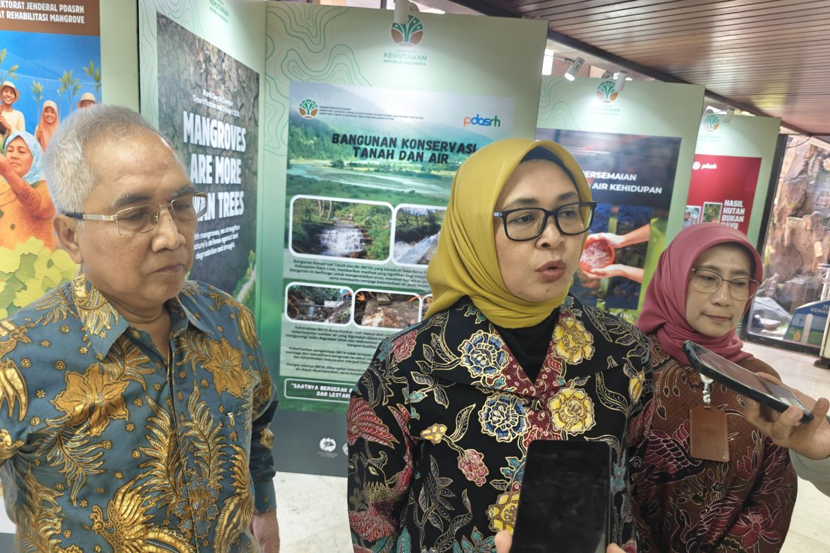 Indonesia targets land degradation neutrality on 12.3 million hectares by 2030