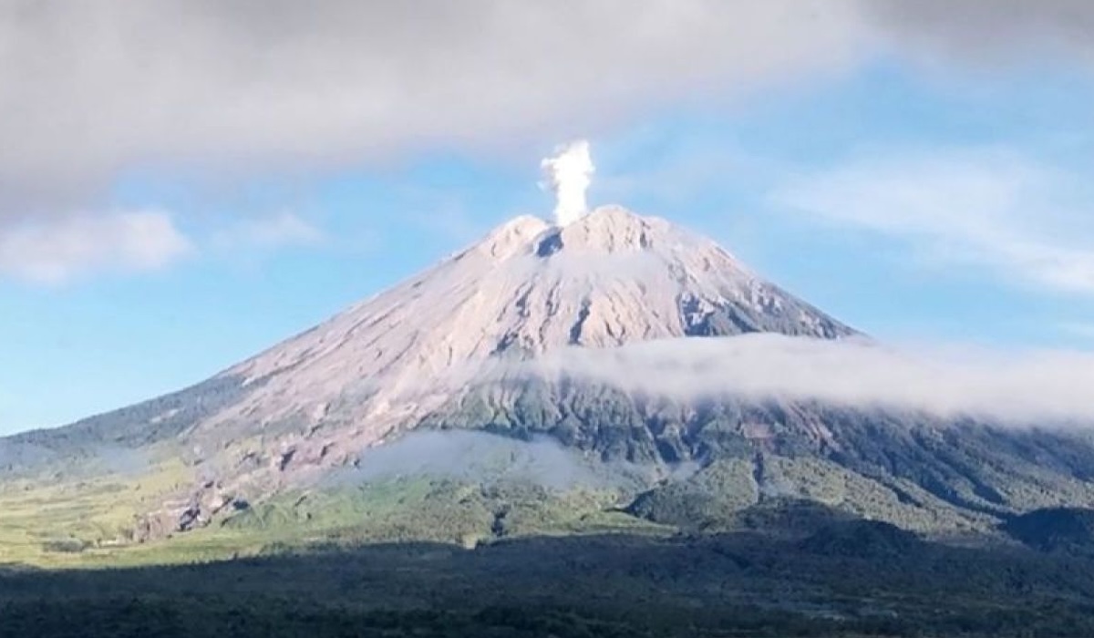 Mount Semeru Erupts Four Times, Ash Column Reaches 1 Kilometre