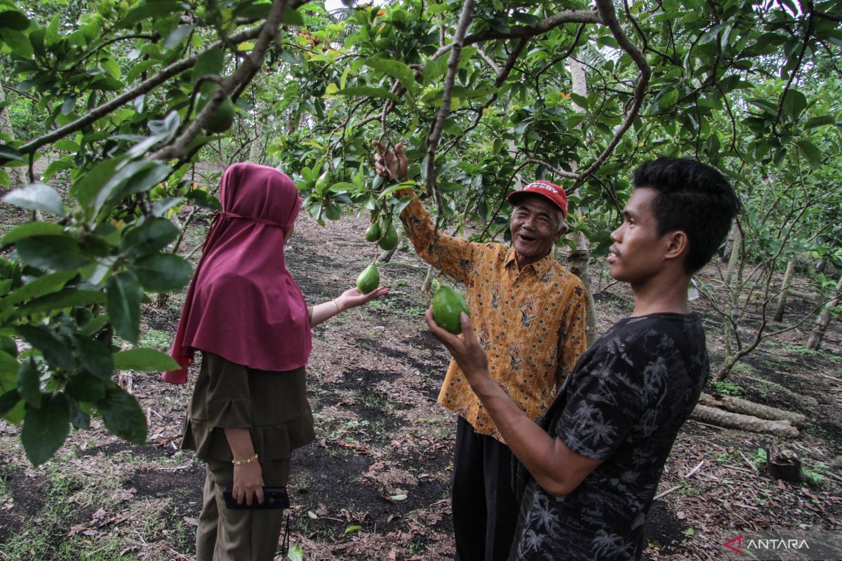 Indonesia ready to lead tropical peatland management efforts at GPI-4 in Peru