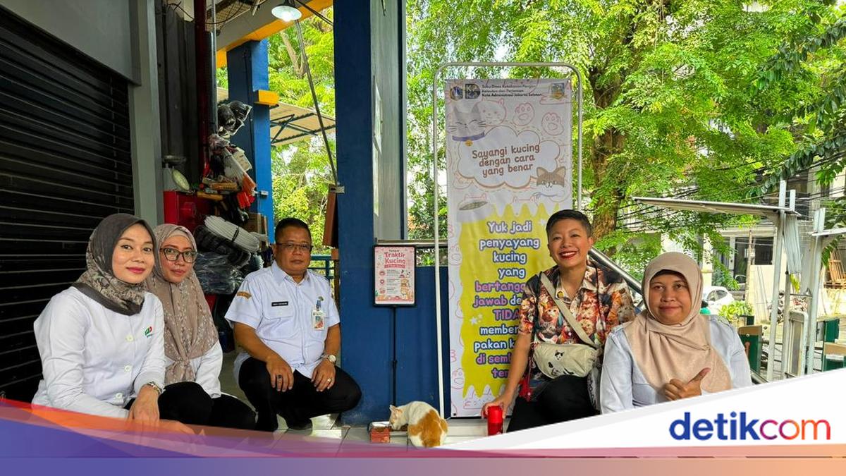 Jakarta Expands 'Cat Feeding Stations' Programme to Pasar Santa