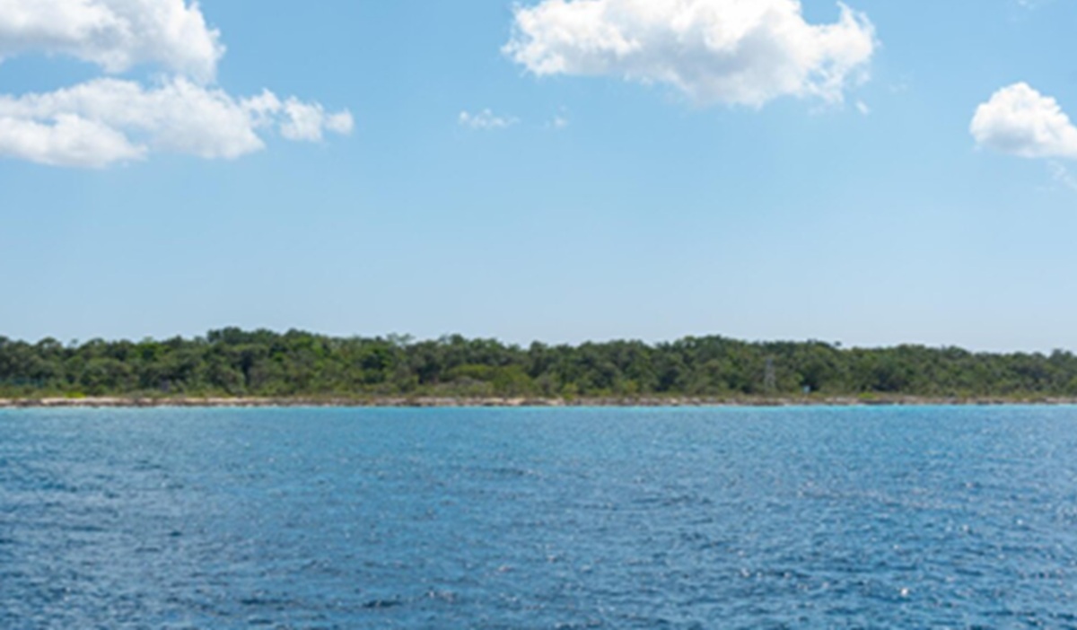 Marine Plankton Play Far Greater Role in Cloud Formation