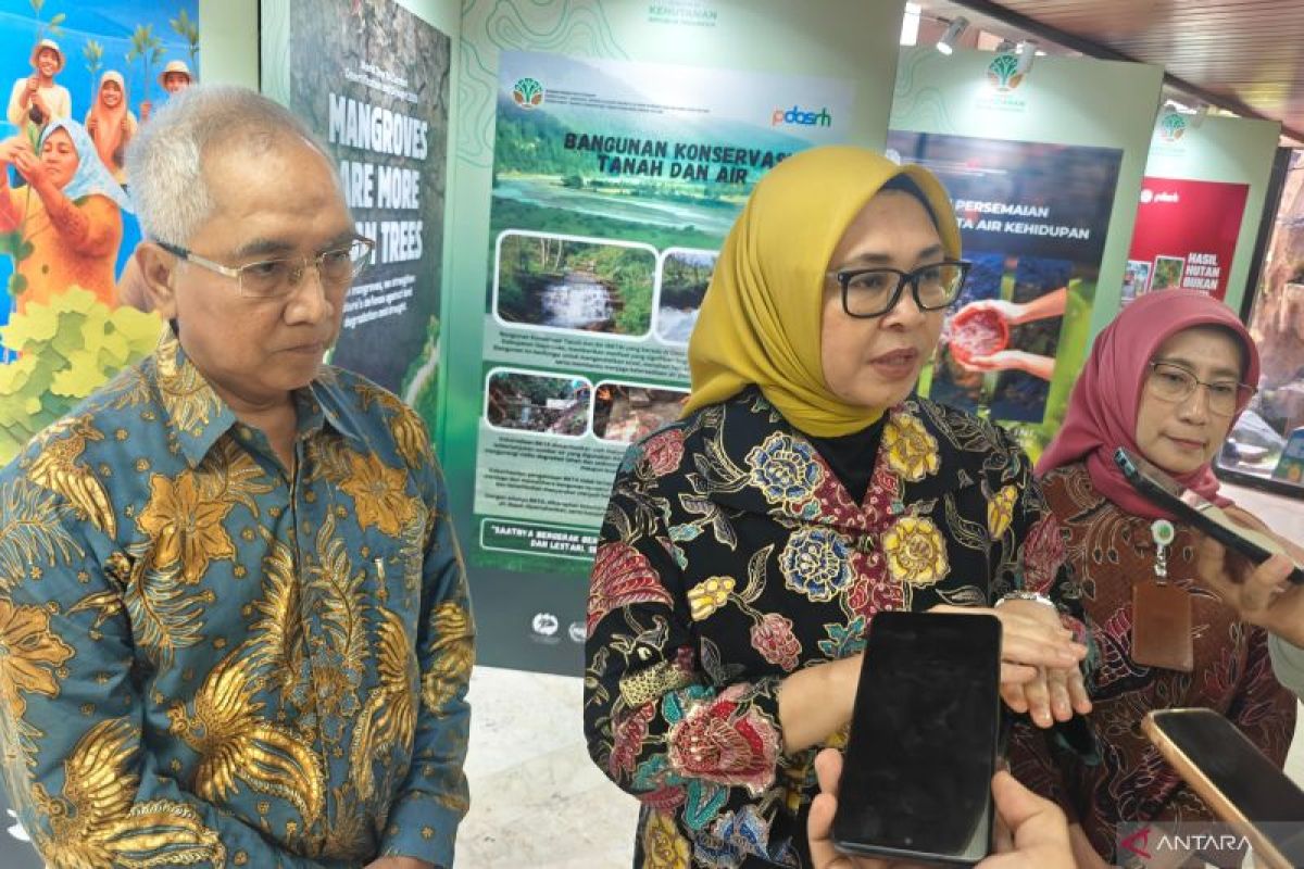 Indonesia flags 250 critical watersheds for 5-year recovery programme