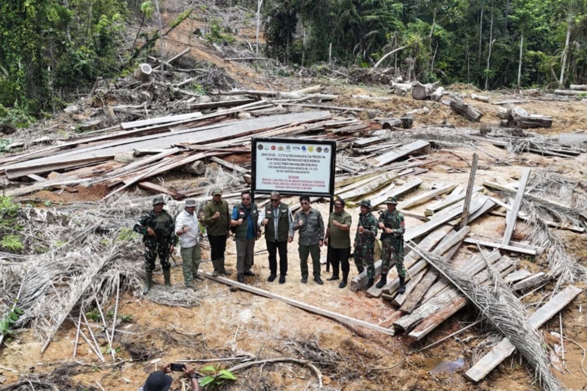 Forestry Ministry to Oversee PT BRN's Rp78.1 Billion Ecological Compensation Ruling