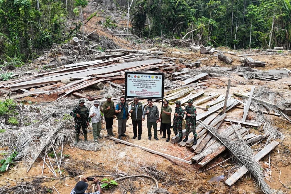 Mentawai Illegal Logging Case: Company Fined, Ordered to Pay Billions in Ecological Compensation