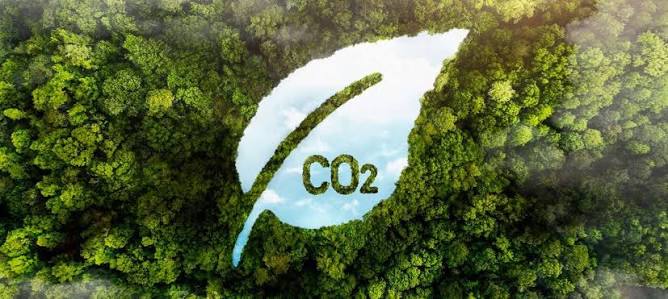 Trillion-Rupiah Carbon Market Must Not Become Mere Certificate Trading Without Real Emission Cuts