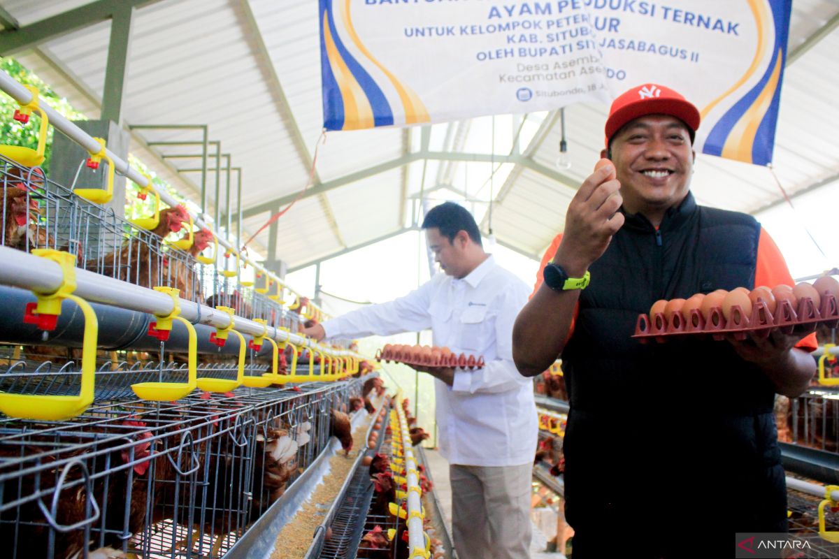 Situbondo Government Facilitates Layer Farmers to Supply Eggs for Free Nutritious Meal Programme