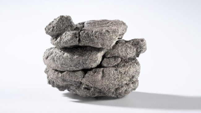 Fossil Found in a Drawer Revealed as Antarctica's First Dinosaur Discovery