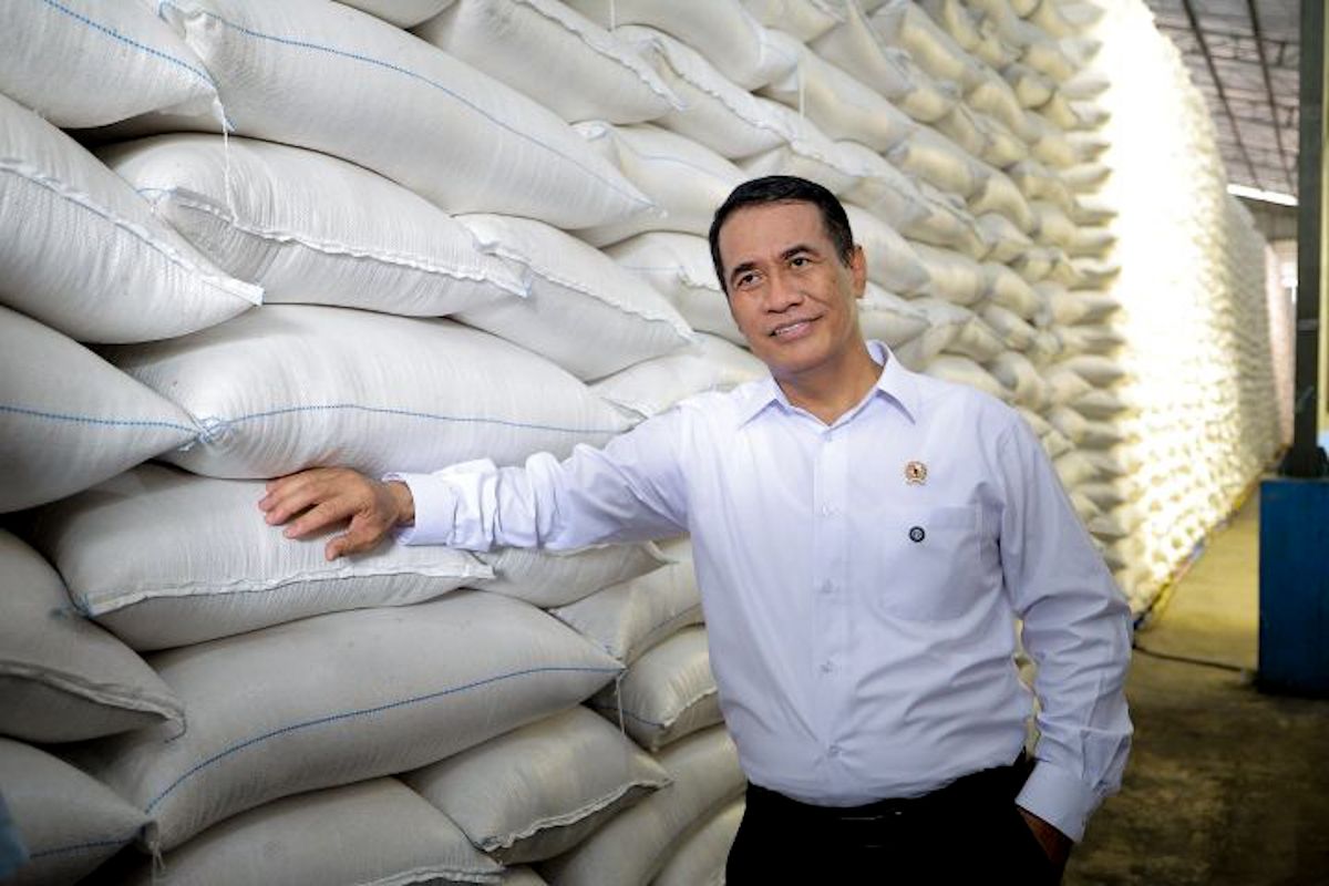 Minister: Food self-sufficiency solidifies as rice production hits 25.28 million tonnes