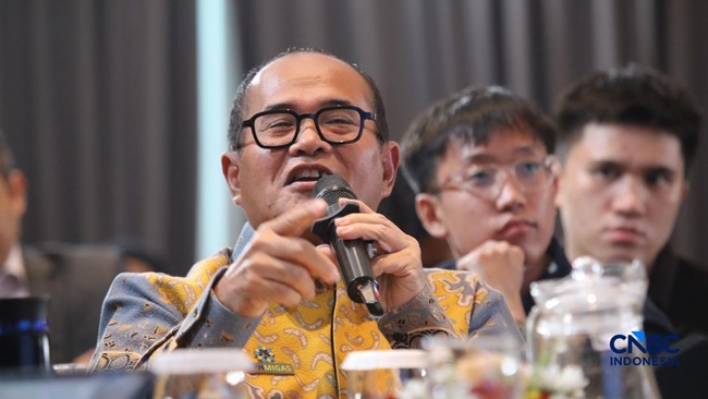 BPH Migas Head Reveals Realisation of Pertalite and Solar Fuel Distribution