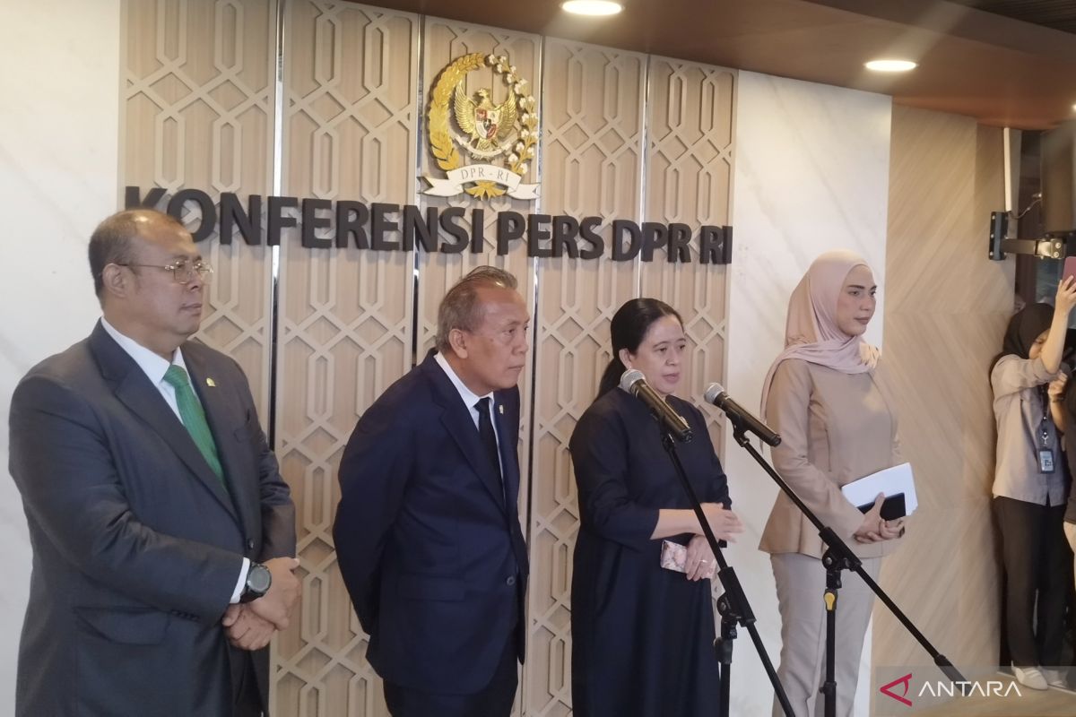 House Speaker respects Constitutional Court ruling that regional elections must remain direct