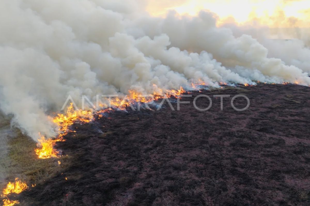 BNPB deploys joint task force to extinguish land fires in Sukoharjo