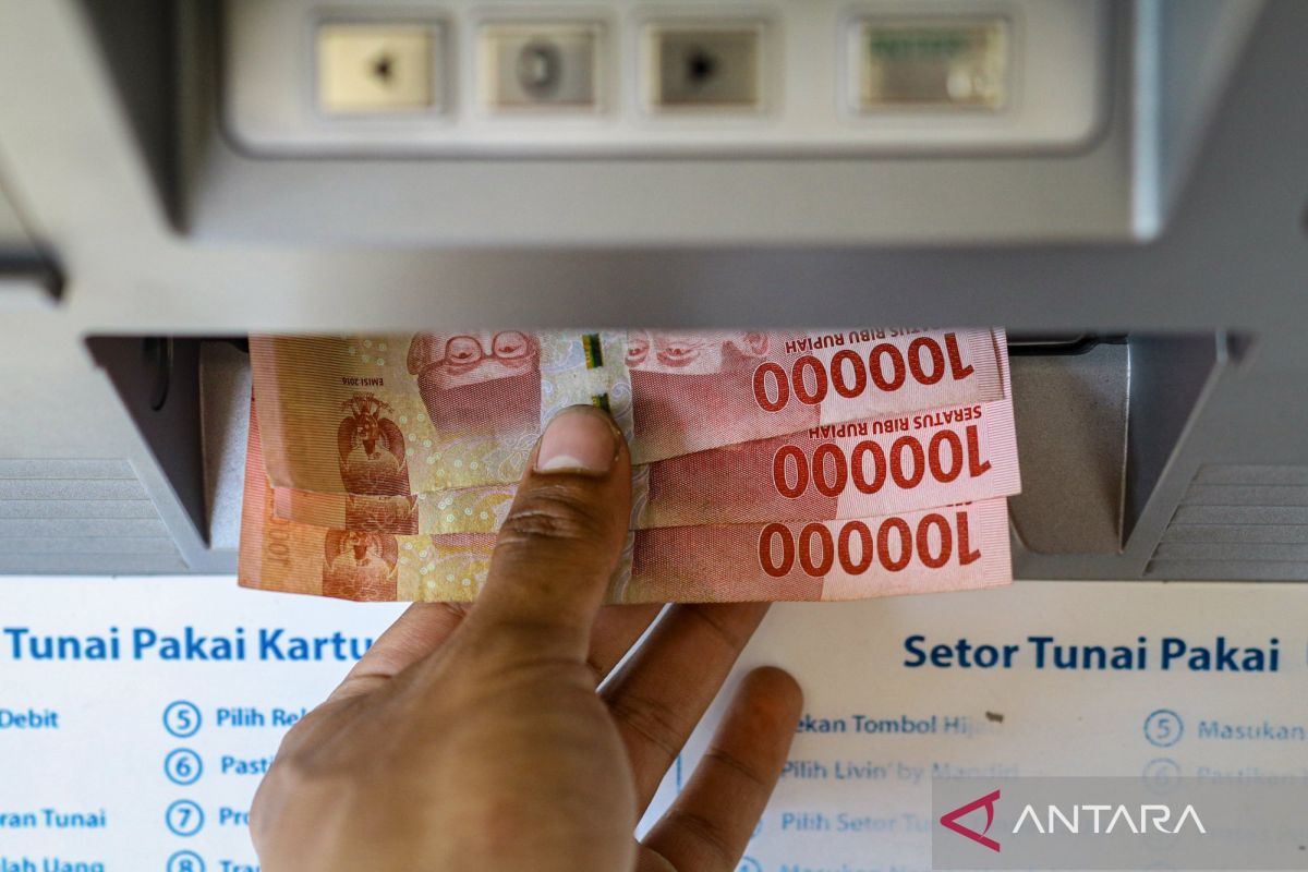 Economist: Rupiah stabilisation still requires large foreign capital inflows into government bonds