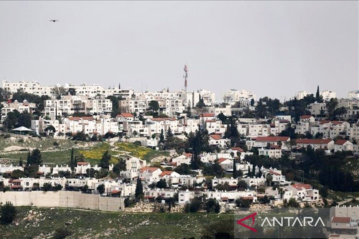 Victims of crime in Israel's Arab community rise to 141